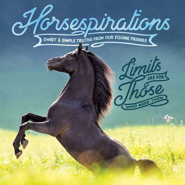 Horsepirations: Sweet & Simple Truths from Our Equine Friends image number null