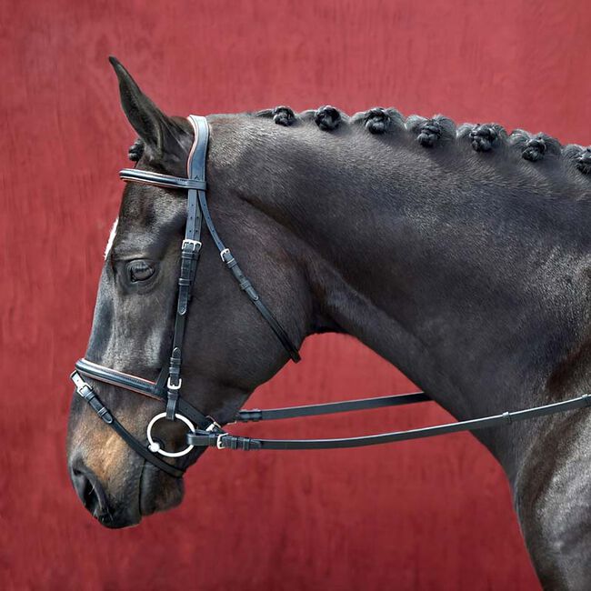 Bobby's Silver Spur Padded and Raised Snaffle Bridle with Flash image number null