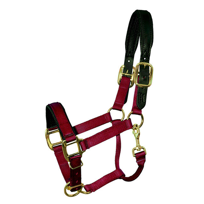 Intrepid International Premium Nylon Breakaway Halter with Padded Crown & Nose image number null