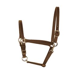 Perri's 3/4'' Leather Turnout Halter