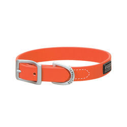 Terrain D.O.G. X-Treme Adventure Dog Collar - Blaze Orange