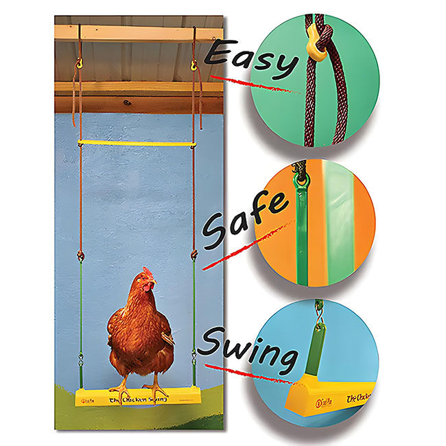 Chicken Swing image number null