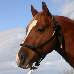 Double Diamond 9.5mm (#150 Series) Nylon Rope Halter