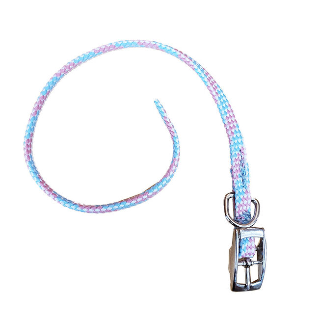 Triple E Small Braided Collar for Cats & Small Dogs - Pink/Ice/White image number null