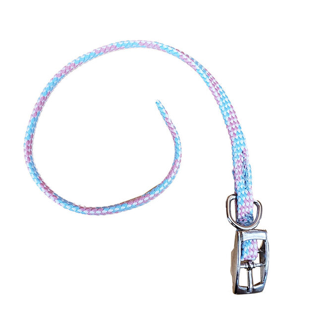 Triple E Small Braided Dog/Cat Collar image number null