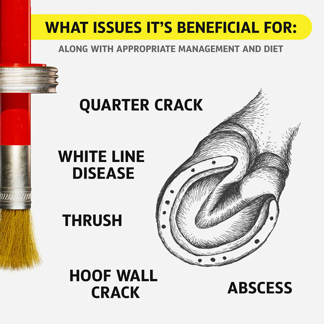 Equine One Hoof Mender - 32 oz image number null