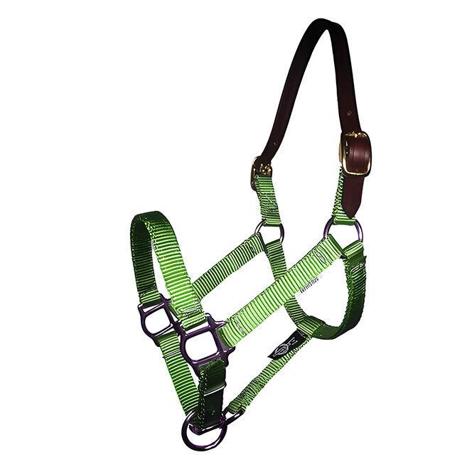 Triple E Mini Premium Nylon Breakaway Halter image number null