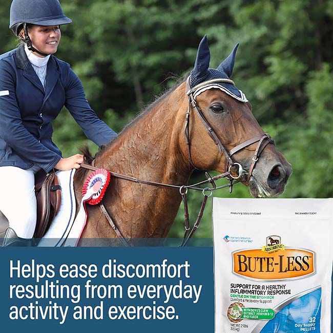 Absorbine Bute-Less Comfort & Recovery Supplement Pellets image number null