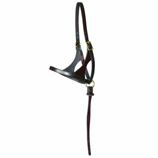 Walsh Grow with Me Foal Halter image number null