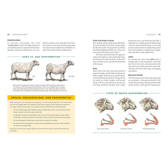 Storey's Guide To Raising Sheep: Breeding, Care & Facilities, 5th Edition image number null