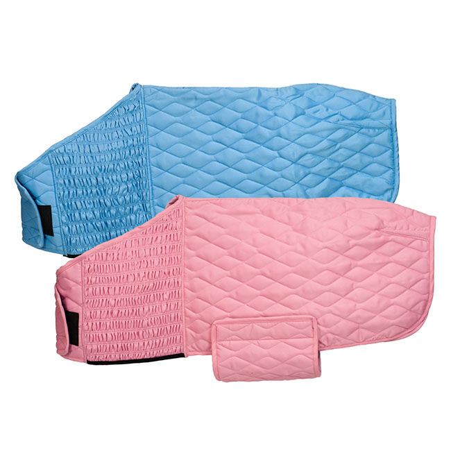 Paul Taylor Saddle Co Stretch Fit Foal Blanket image number null