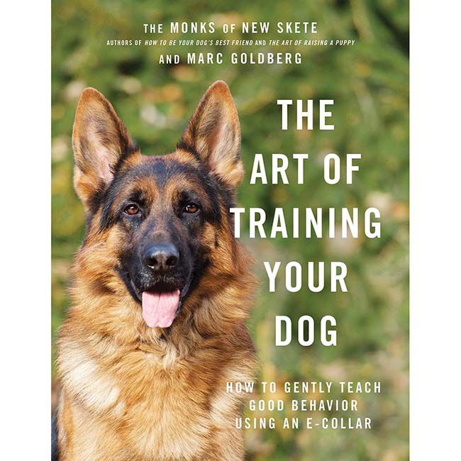 The Art of Training Your Dog: How to Gently Teach Good Behavior Using an E-Collar image number null