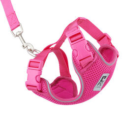 RC Pets Adventure Kitty Harness - Raspberry