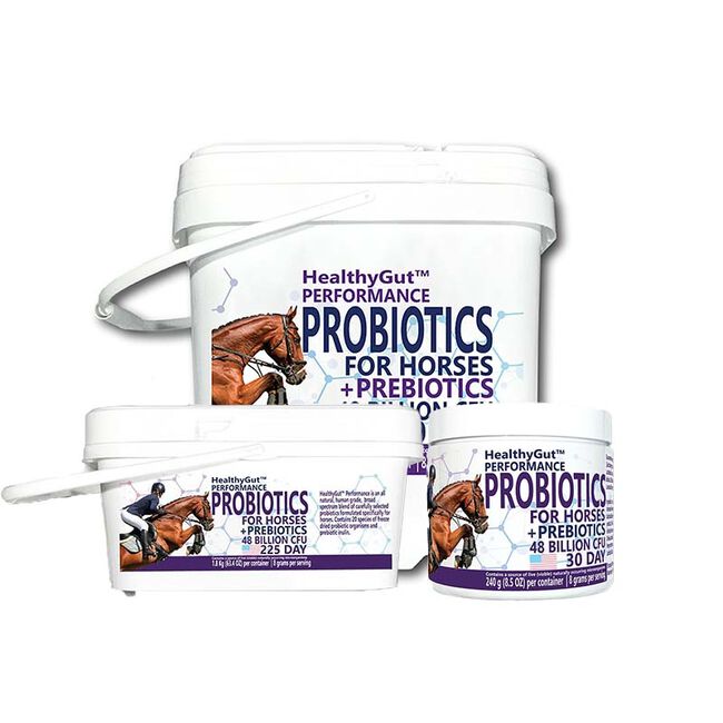 Equa Holistics HealthyGut Probiotics for Horses: Performance image number null