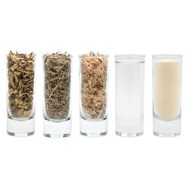 Equine Elixirs Slimer - Liquid Gastric Support image number null