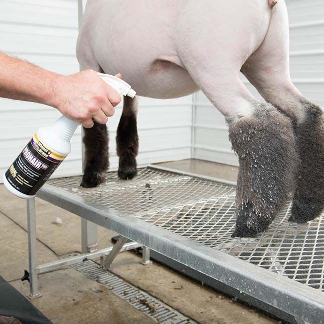 Weaver Livestock Adjustable Trimming Stand Head Piece At Tractor Supply Co