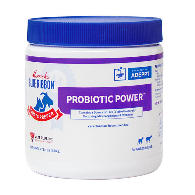 Goats Prefer Probiotic Power image number null