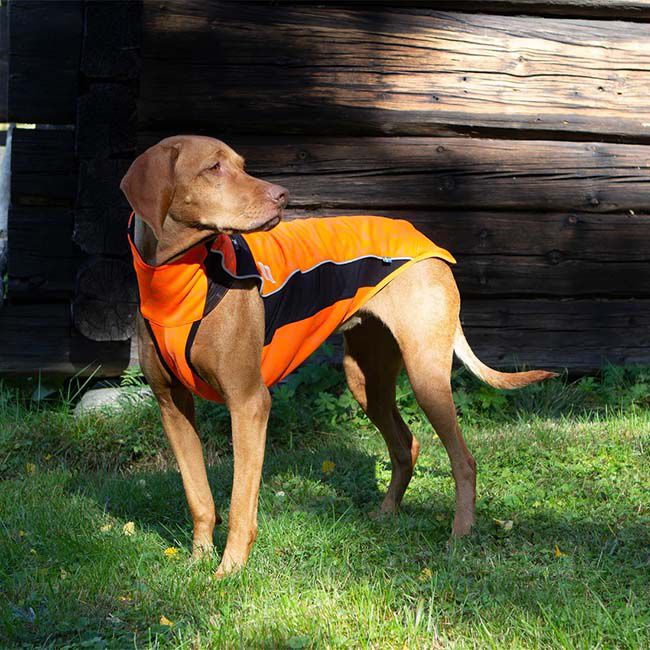 Back on Track Eddie High Visibility Jumper for Dogs - Reflective Orange image number null