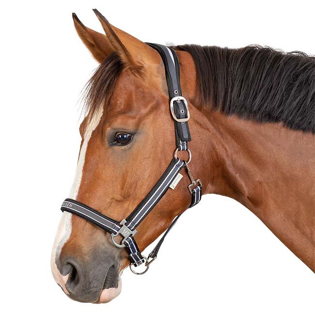 Waldhausen Athletic Halter image number null