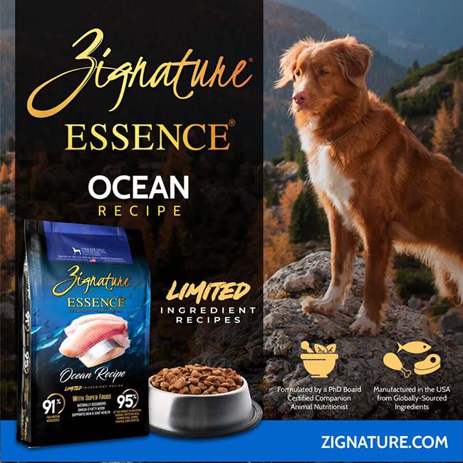 Essence Limited Ingredient Dog Food - Ocean Recipe image number null