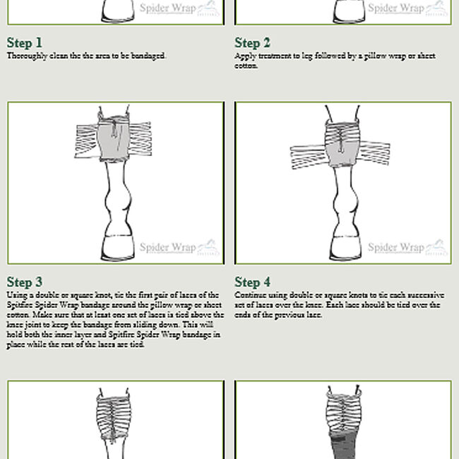 Spitfire Spider Wrap The Cheshire Horse