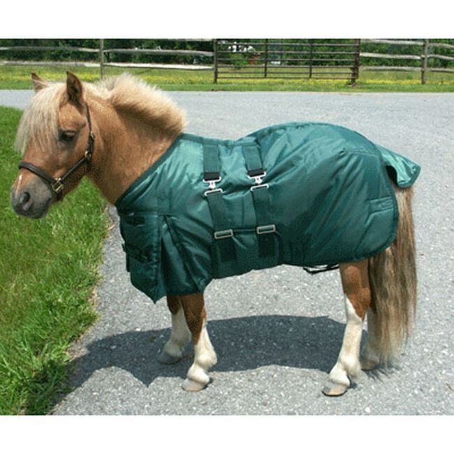 Intrepid Mini Horse Turnout Blanket Green image number null
