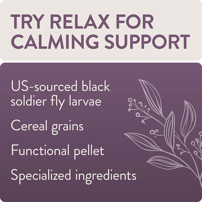 FlockLeader FUNctional Poultry Treats - Relax - Calming Support Formula image number null