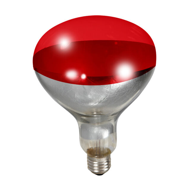 Miller 250 Watt Red Bulb for Brooder Lamp image number null