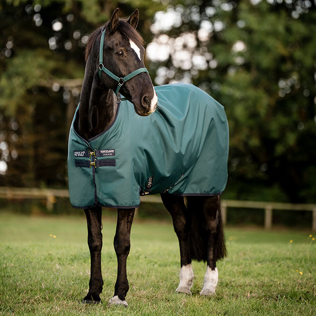 Horseware Amigo Ripstop 900D Turnout (100g Light) - Dynasty Green/Navy/Silver image number null