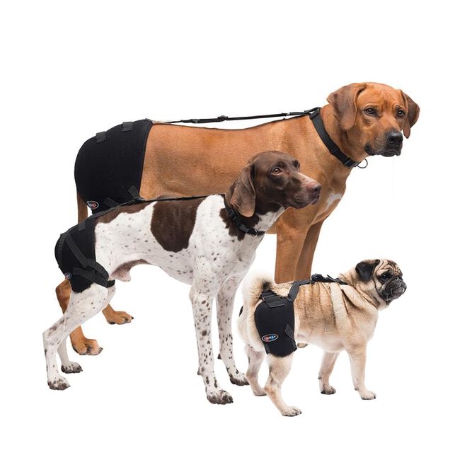 Caldera Hip Therapy Wrap with Gel Packs for Dogs Medium image number null