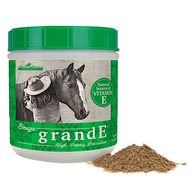 Omega Fields grandE - Vitamin E & Antioxidant Supplement image number null