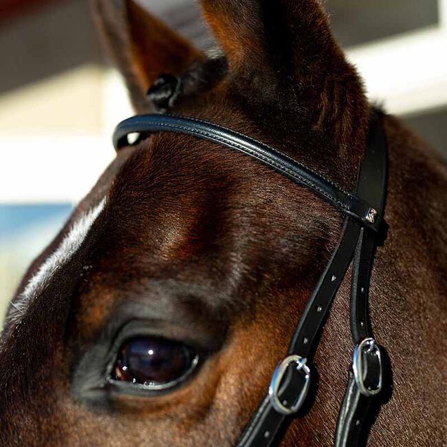 Horze Bitless Bridle  image number null