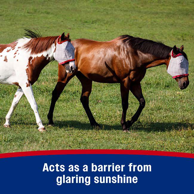 Farnam SuperMask II without Ears image number null