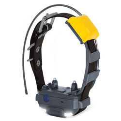 Demo Condition - Dogtra Pathfinder2 Mini - Additional GPS Collar - Black
