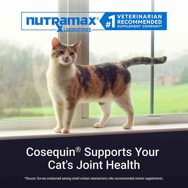 Nutramax Cosequin for Cats Joint Health Supplement, Contains Glucosamine for Cats, Chondroitin, and Omega-3s - Sprinkle Capsules - 80 Capsules image number null