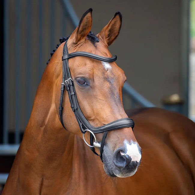 Shires Velociti Lusso Ergonomic Curved Flash Bridle image number null