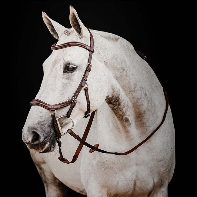 Horseware Rambo Micklem 2 Deluxe Competition Bridle image number null