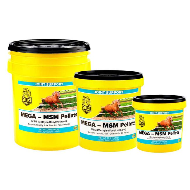Select the Best Mega-MSM Pellets image number null