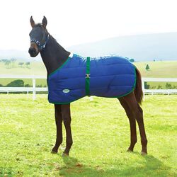 WeatherBeeta 420D Foal Turnout Standard - Medium - Navy/Hunter - Closeout