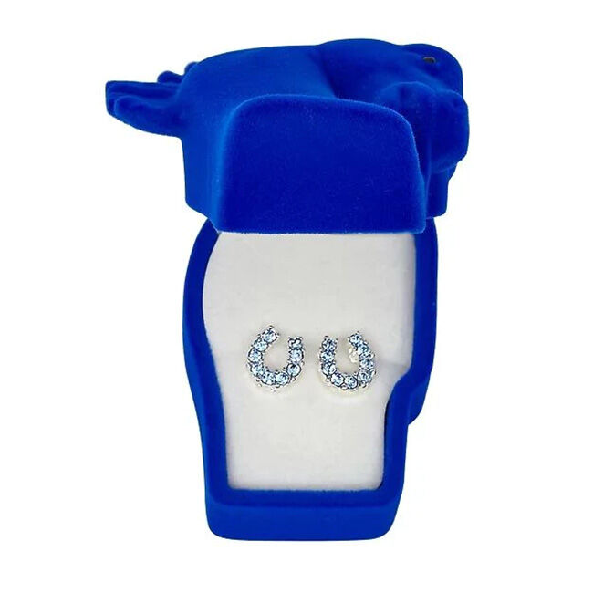 AWST International Rhinestone Horseshoe Earrings with Horse Head Gift Box image number null