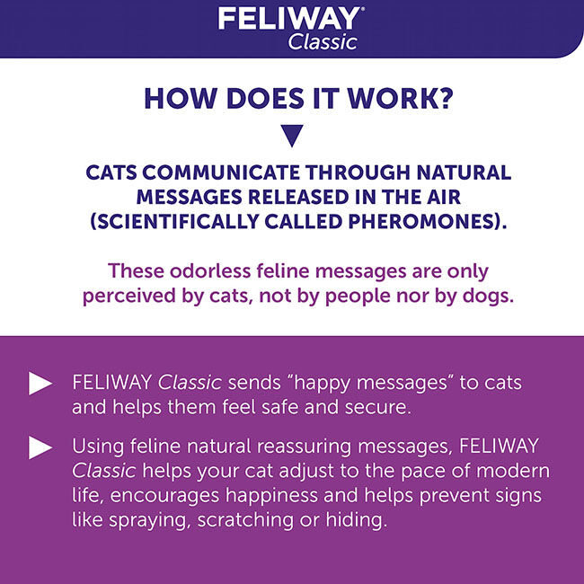 Feliway Classic Spray - 60 mL image number null