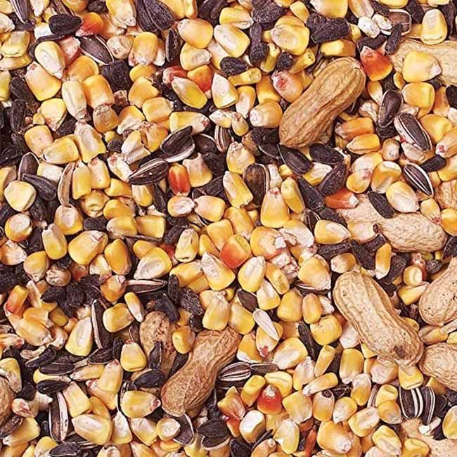 Wild Delight Crunch N' Nut Squirrel Food - 8 lb image number null