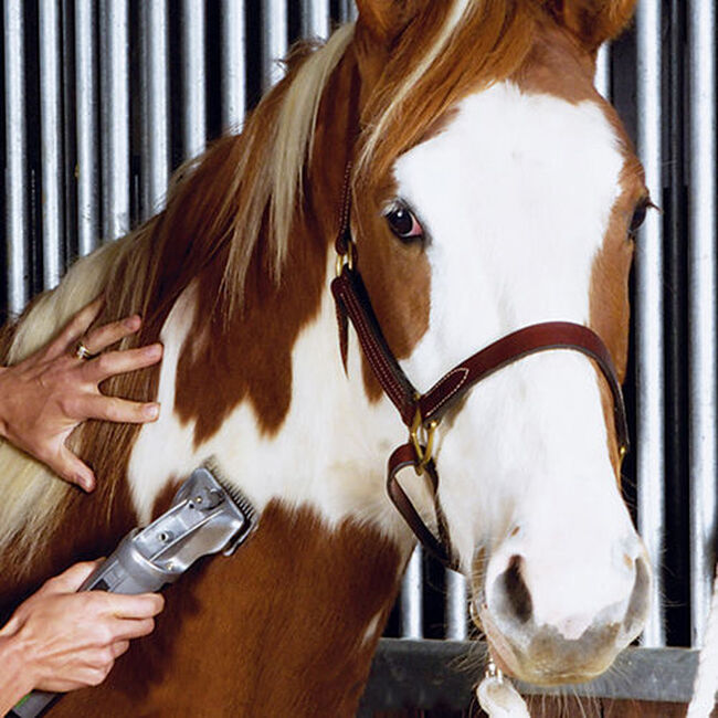 Premier 1 Clipping Blade Set - Fine image number null