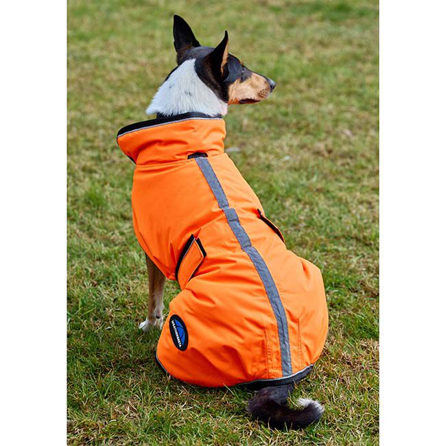 WeatherBeeta ComFiTec Deluxe Showerproof Dog Coat - Orange image number null