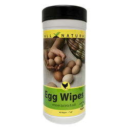 CareFree Enzymes Egg Wipes - 40-Count