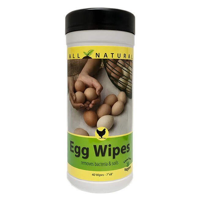 CareFree Enzymes Egg Wipes - 40-Count image number null