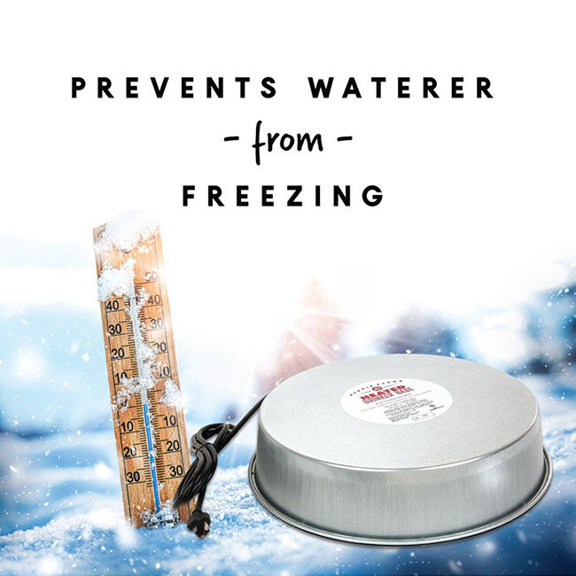 Harris Farms Heated Poultry Drinker Base image number null