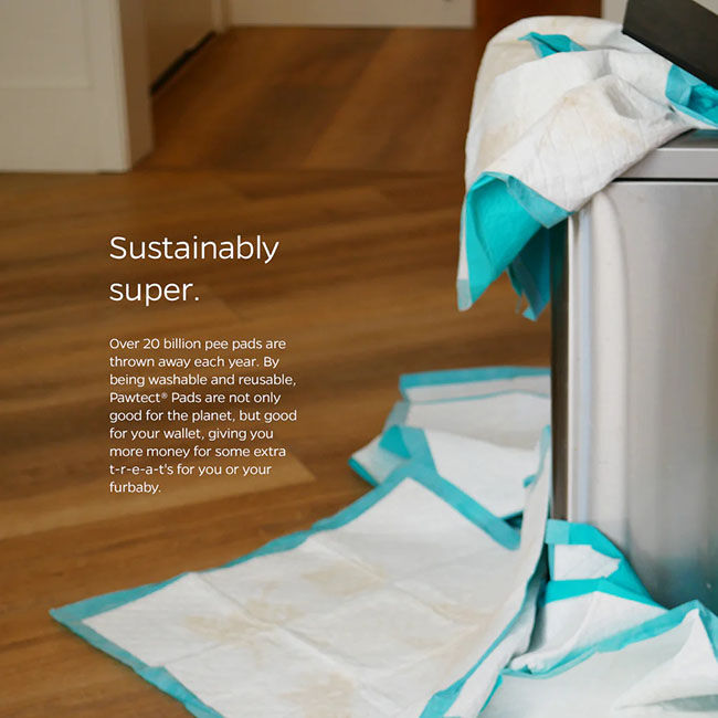 Pet Parents Pawtect Pads - 2-Pack image number null