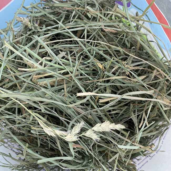 Sweet Meadow Farm Orchard Grass Hay - 3 lb image number null