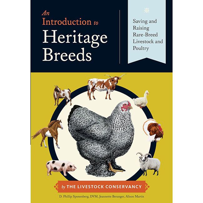 An Introduction to Heritage Breeds: Saving and Raising Rare-Breed Livestock and Poultry image number null